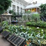 OTRA2014_0810 (August 29, 2014)